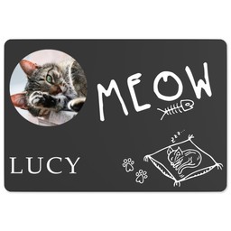 Pet Mat with Cat Character design