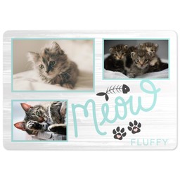 Pet Mat with Meowy Moment design