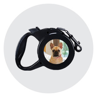 Pet Leashes