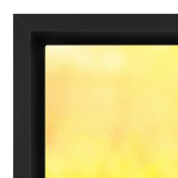 Thumbnail for 12x36 Photo Canvas With Floating Frame with Full Photo design 3