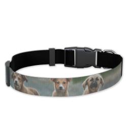 Thumbnail for Pet Collar, Large with Full Photo design 1