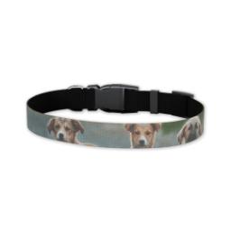 Thumbnail for Pet Collar, Small with Full Photo design 1